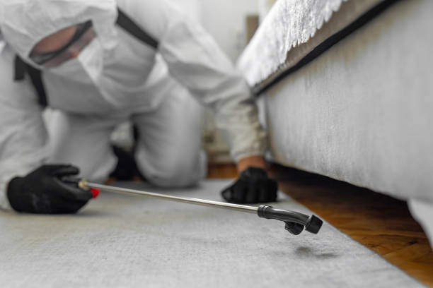 Professional Mosquito Control technician working in Clay County County, MS